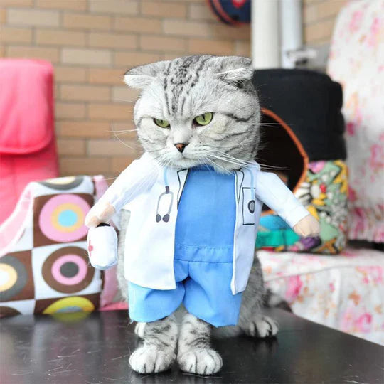 Kreatywny strój psa pirata w kapeluszu i chuście, oryginalny kostium na specjalne okazje, optymalny komfort