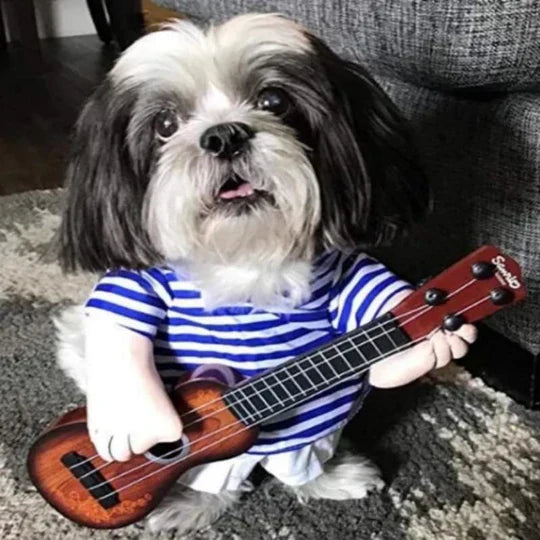 Kreatywny strój psa pirata w kapeluszu i chuście, oryginalny kostium na specjalne okazje, optymalny komfort