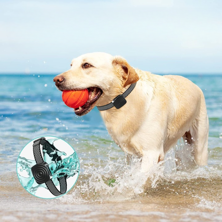 Obroża antyszczekowa PetSilence dla małych psów