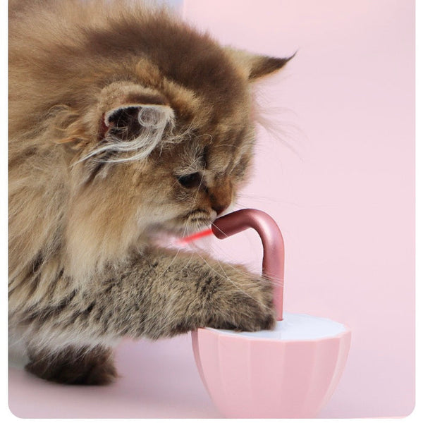 Interaktywna zabawka laserowa dla kota z czerwonym laserem, automatycznym ruchem i wieloma żywymi kolorami dla zapewnienia zabawy.