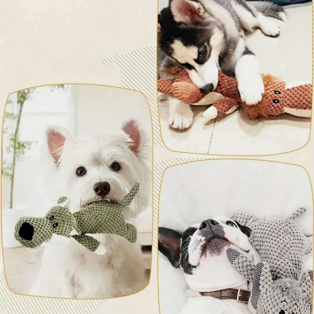 Wytrzymała zabawka dla psa, intensywny kolor, teksturowana powierzchnia, idealna do gryzienia, odporna i bezpieczna dla optymalnej higieny zębów