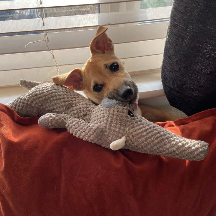 Wytrzymała zabawka dla psa, intensywny kolor, teksturowana powierzchnia, idealna do gryzienia, odporna i bezpieczna dla optymalnej higieny zębów