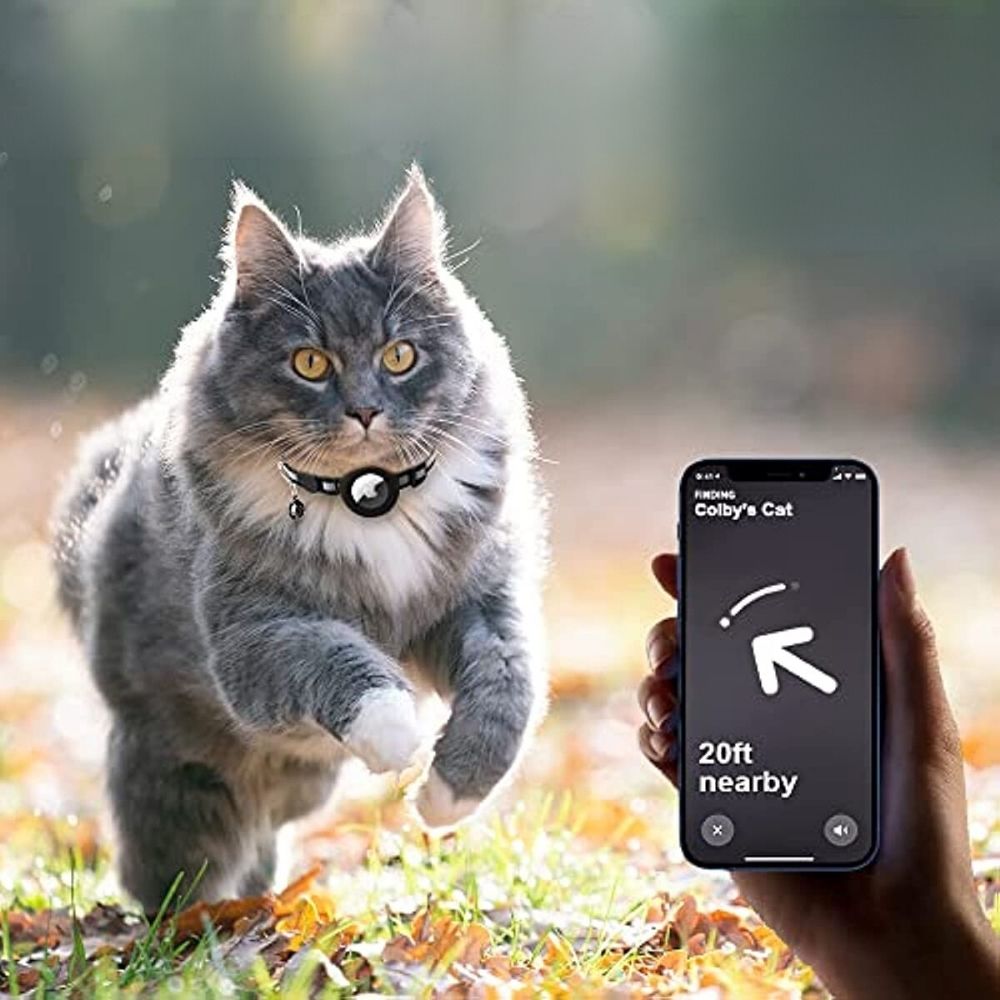Odblaskowa obroża GPS dla kota z szybkim zapięciem. Bezpieczny lokalizator i akcesoria dla zwierząt domowych.