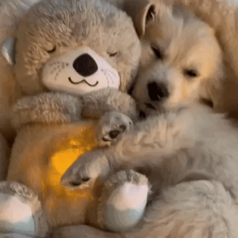 Pluszowa przytulanka koala lub królik, 30 cm, dla dzieci i dorosłych, wykonana z oddychającego materiału, możliwość prania w pralce.