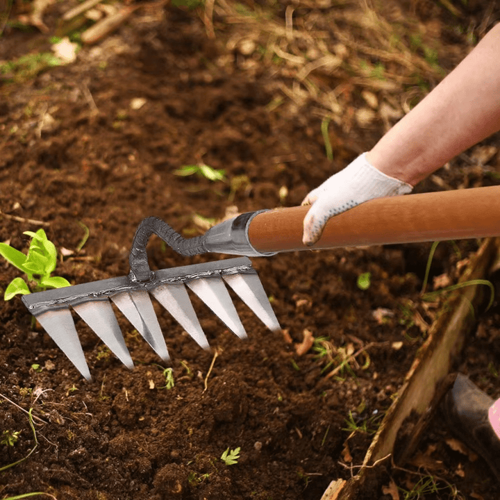 Stalowe grabie do pielenia Jardioui, skuteczne do wyrywania chwastów z ogrodu, dostępne w wersjach z 5, 6, 7 zębami.