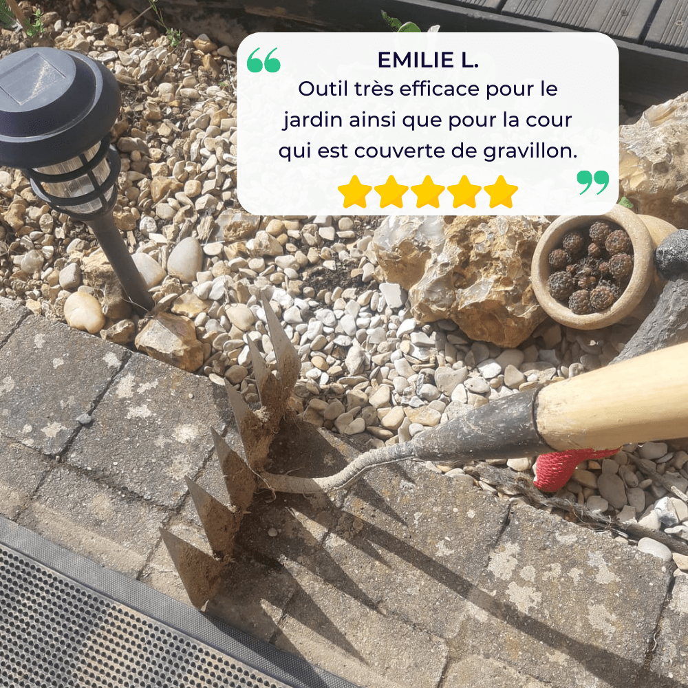 Stalowe grabie do pielenia Jardioui, skuteczne do wyrywania chwastów z ogrodu, dostępne w wersjach z 5, 6, 7 zębami.