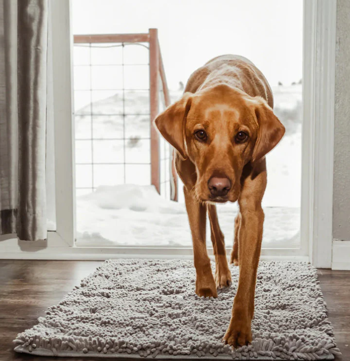 Szara mata z mikrofibry dla psa, superchłonna i antypoślizgowa, można prać w pralce, idealna dla czystej podłogi.